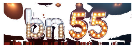 bn 55 logo